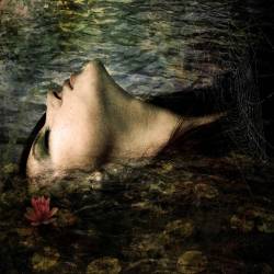 Crescent Days : Unbloomed